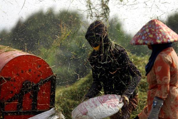 Generasi Milenial Mulai Tertarik Sektor Pertanian